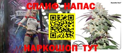дурь Бердск
