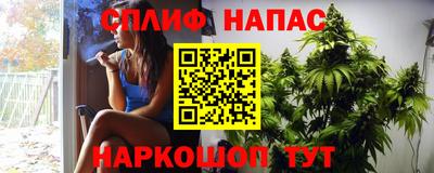 дурь Бердск