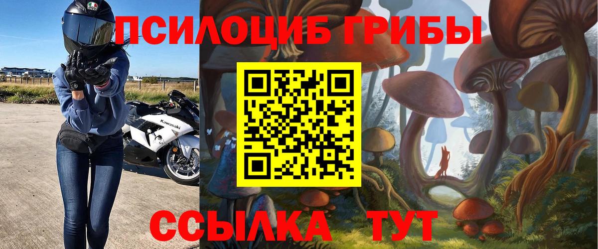 Галлюциногенные грибы прущие грибы  Вход с VPN  где найти наркотики  Грозный  Галлюциногенные грибы GOLDEN TEACHER 