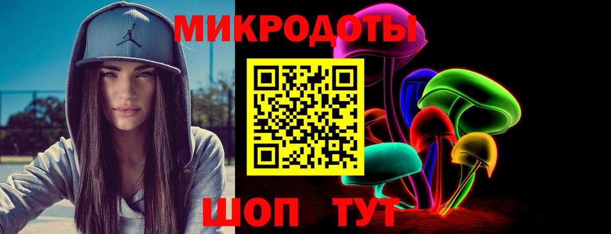 Псилоцибиновые грибы Psilocybe Грозный
